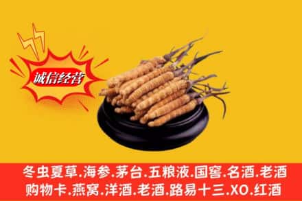 沧源县高价上门回收虫草多少钱每克